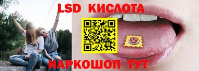 спиды Кингисепп