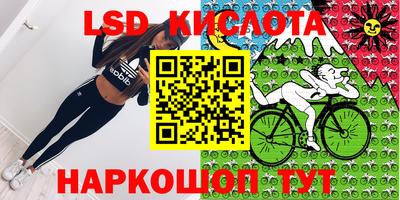 спиды Камышлов