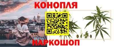 jwh Кимры