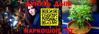 ГАЛЛЮЦИНОГЕННЫЕ ГРИБЫ Кинель